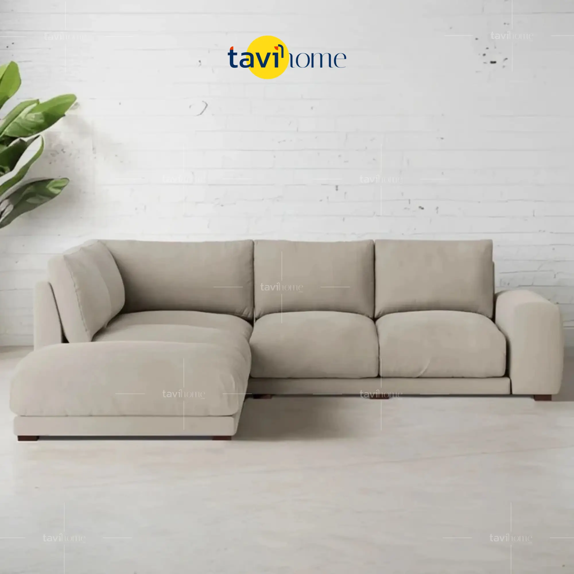 Sofa Băng SBA-259